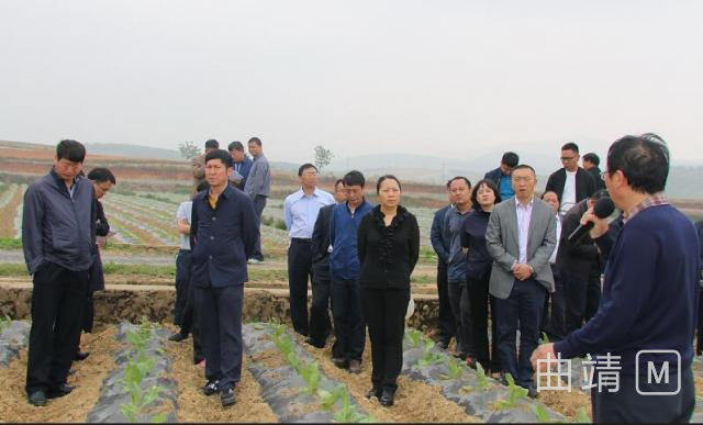 һȾзصĿֳƽῪչĦ